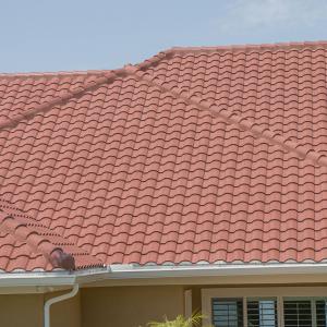 Sanibel | Bugainvillea | 01