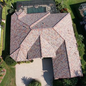 Sanibel | New Florida Blend | 01