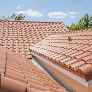 Sanibel | Nueva España | 06