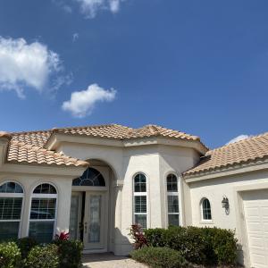 Sanibel | Sand Dollar | 01