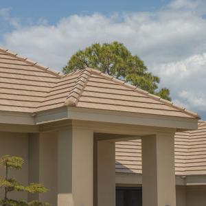 Windsor Slate | Sand Dollar | 01