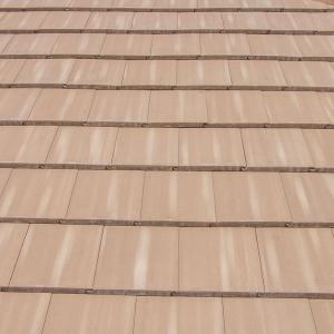 Windsor Slate | Sand Dollar | 05