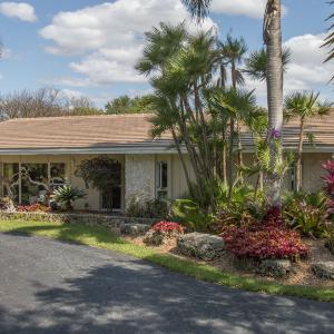 Windsor Slate | Sand Dollar | 06