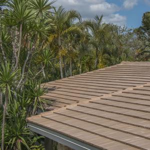 Windsor Slate | Sand Dollar | 08