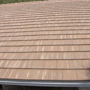 Windsor Slate | Sand Dollar | 10